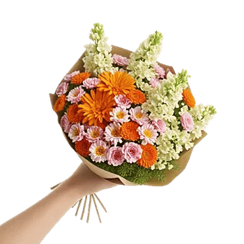 Petal Harmony Bliss