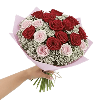 Crimson Rose Elegance