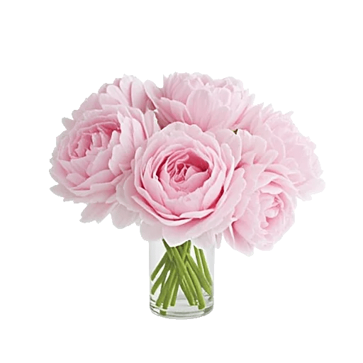 Petal Radiance Bliss