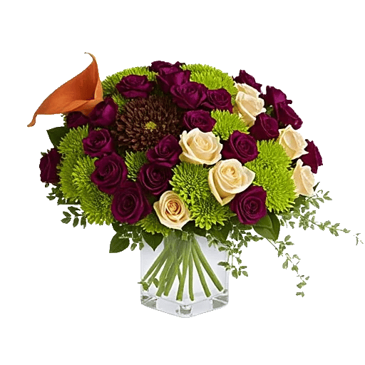 Elegant Calla Lilies