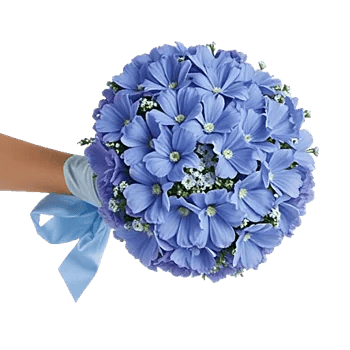 Serenity Blossom Grace