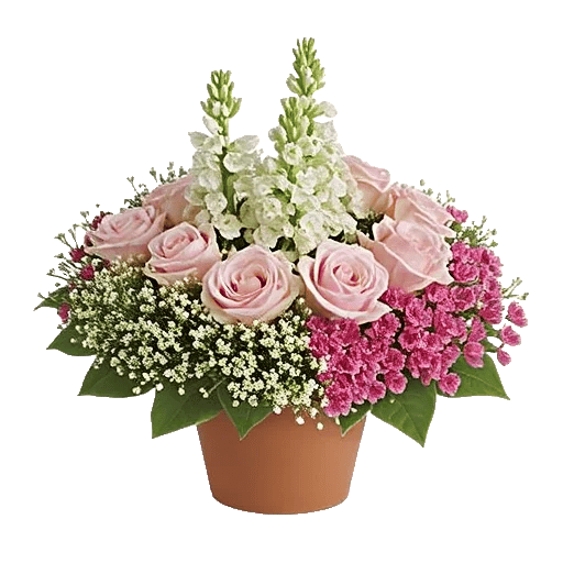 Graceful Lily Display