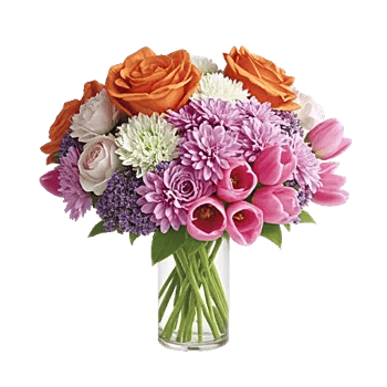 Petal Radiance Bliss