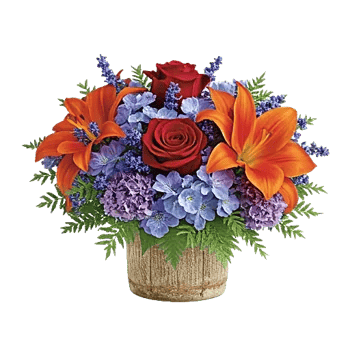 Petal Radiance Bliss