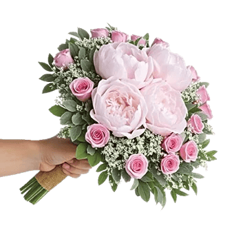 Peony Petal Harmony