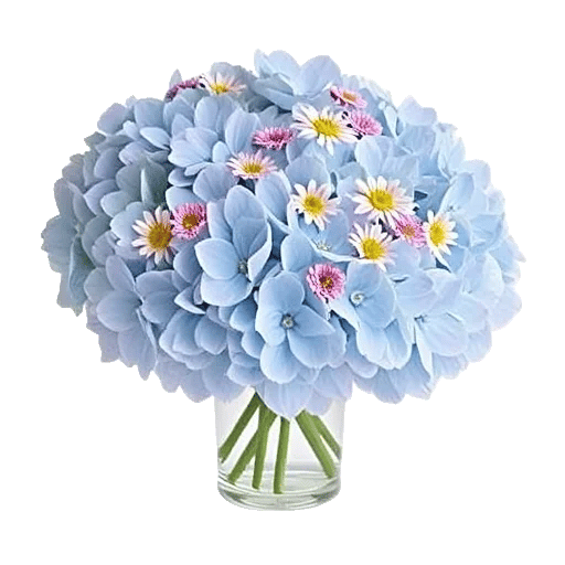 Serene Petal Harmony