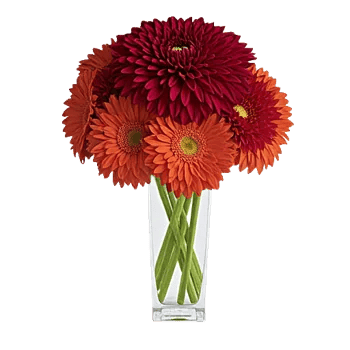 Crimson Blossom Harmony