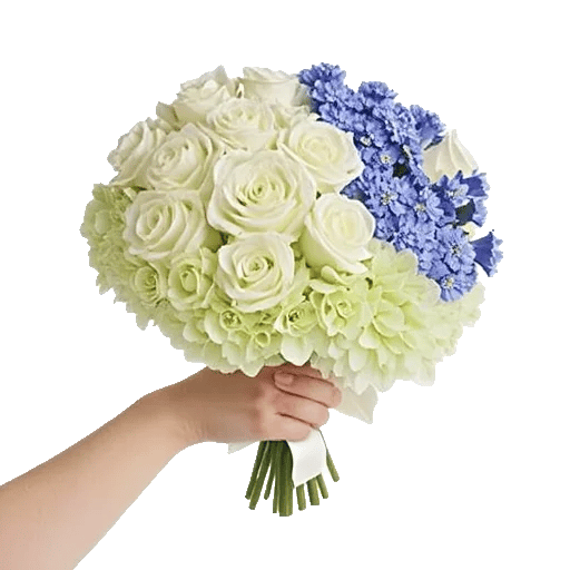 Delicate Petal Cascade
