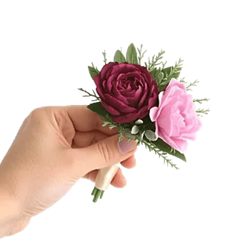 Plum Blossom Radiance