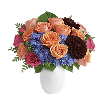 Petal Radiance Bliss