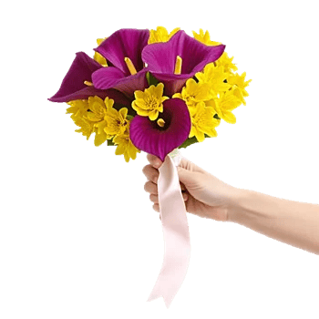 Elegant Calla Lilies