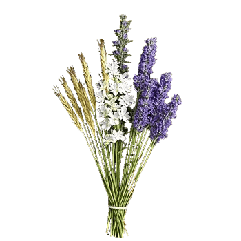 Radiant Bloom Cascade