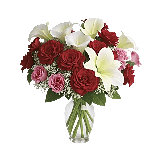 Elegant Calla Lilies