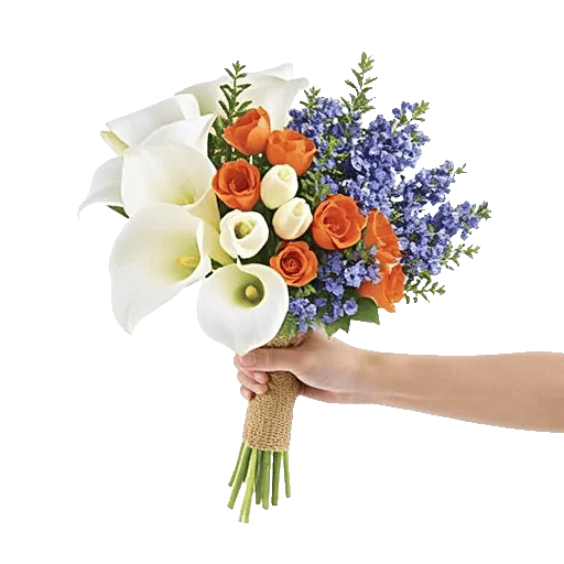 Elegant Calla Lilies