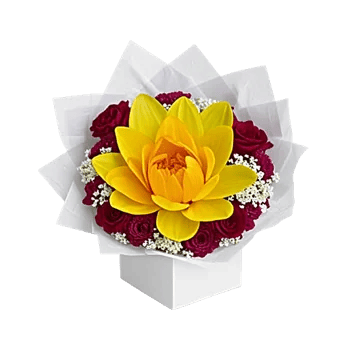 Serenity Orchid Bloom