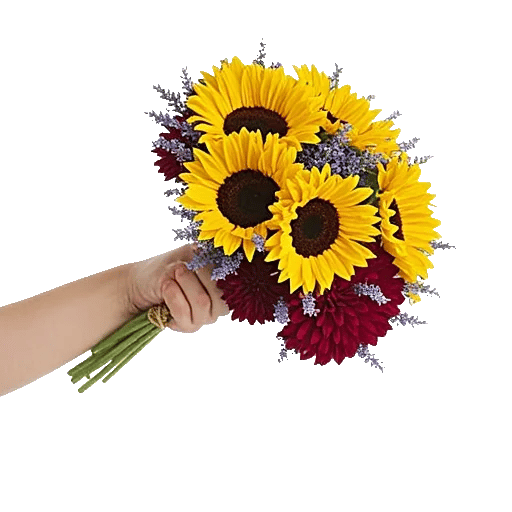 Radiant Bloom Cascade