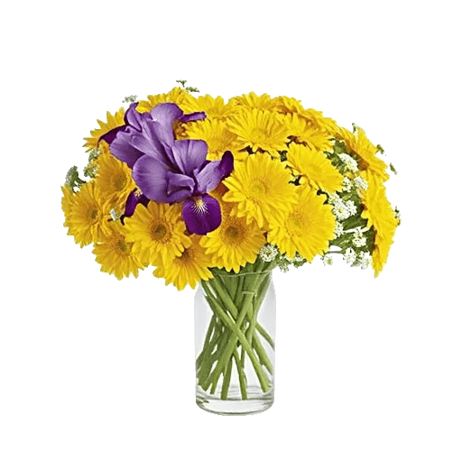 Ivory Blossom Radiance