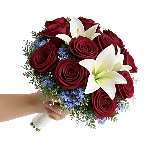 Blushing Rose Symphony