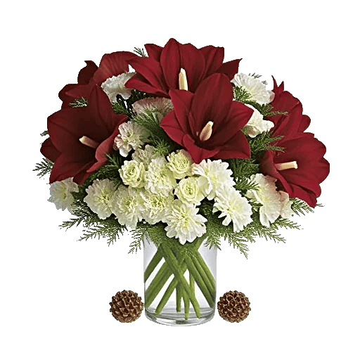 Crimson Blossom Harmony