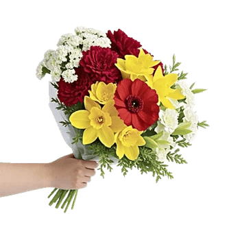 Blossom Harmony Display