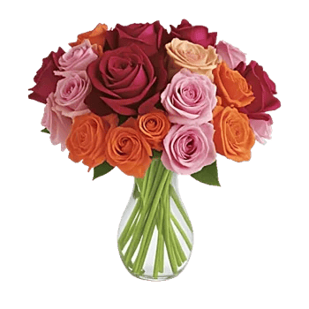 Radiant Rose Symphony