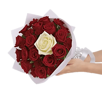 Crimson Rose Elegance