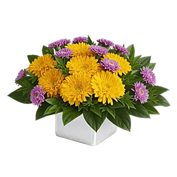 Golden Petal Harmony