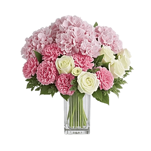 Ivory Blossom Radiance