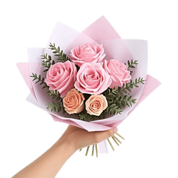 Pastel Pink Roses