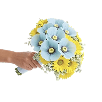 Blossom Petal Serenity