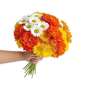 Petal Harmony Bliss