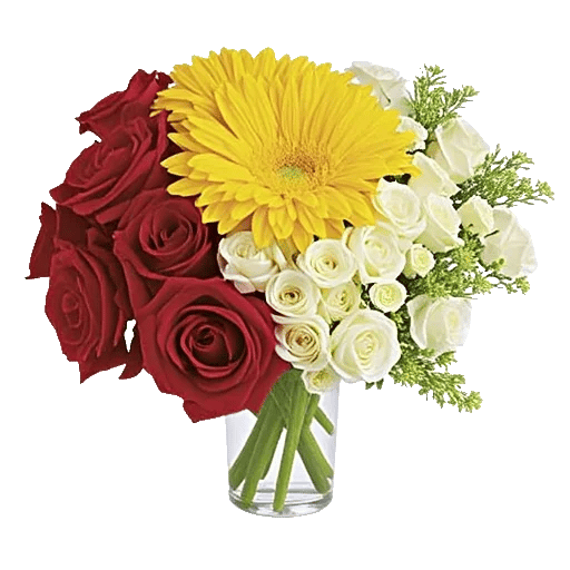 Radiant Rose Symphony