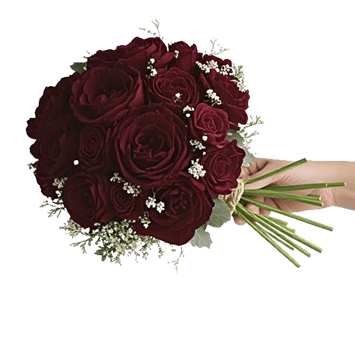 Peony Petal Harmony