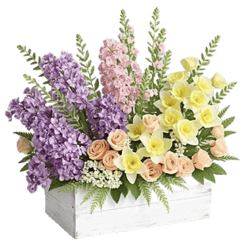 Crisp Spring Blooms