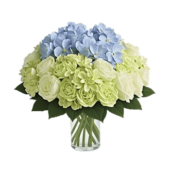 Serene Petal Harmony