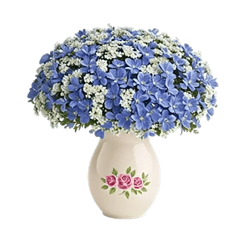 Pastel Blossom Grace