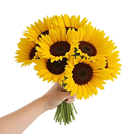 Twinkling Sunflower Dance