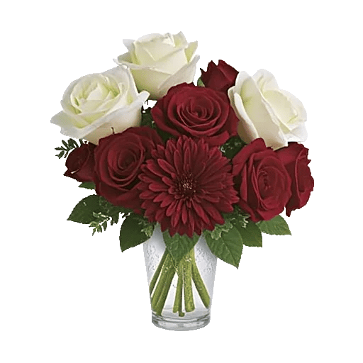 Crimson Blossom Harmony