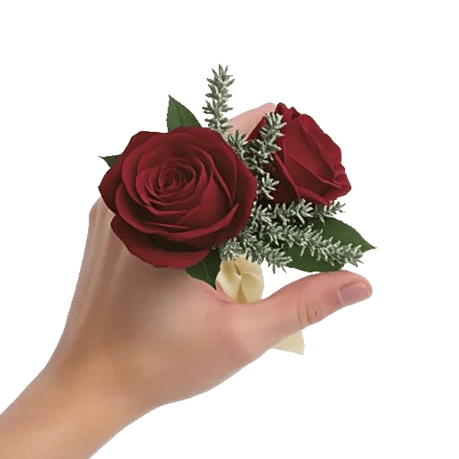 Crimson Rose Elegance