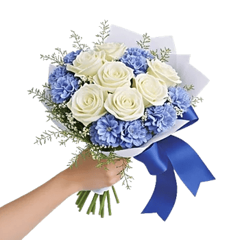 Serene Petal Harmony