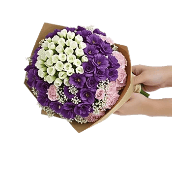 Ivory Garden Grace