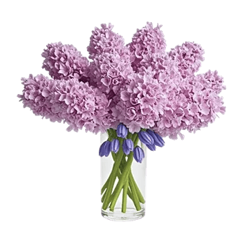 Lavender Bloom Grace