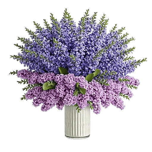 Lavender Bloom Grace