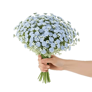 Rosemary Bloom Elegance