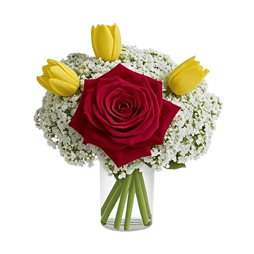 Radiant Rose Symphony