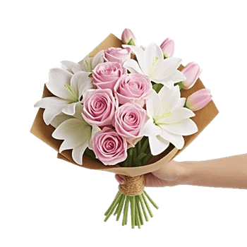 Pastel Pink Roses