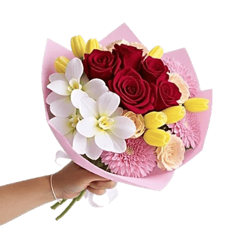 Crimson Rose Elegance