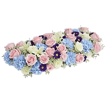 Delicate Petal Cascade