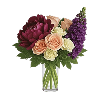 Petal Radiance Bliss