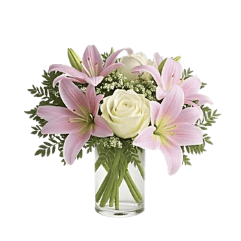 Ivory Blossom Radiance